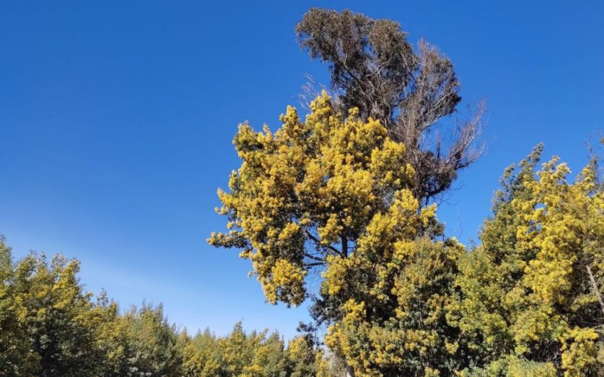 Terreno con casa  ubicada en Paredones