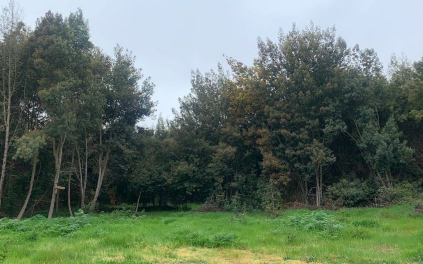 Terreno con casa  ubicada en Paredones