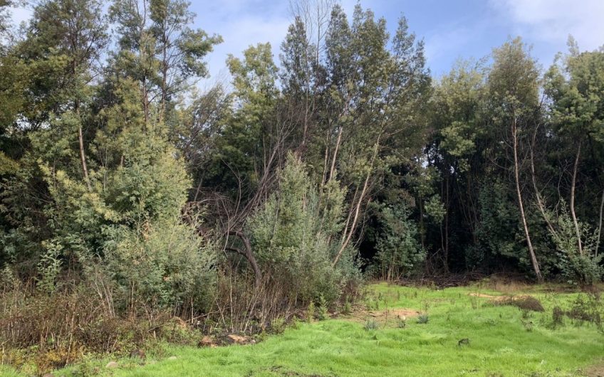 Terreno con casa  ubicada en Paredones