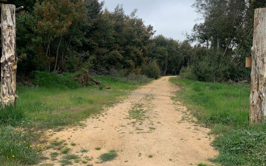 Terreno con casa  ubicada en Paredones