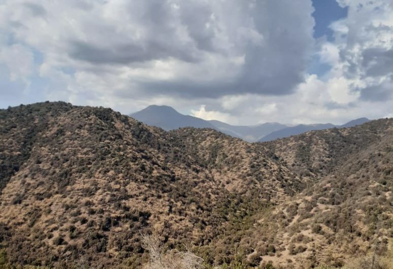 Terreno Codegua