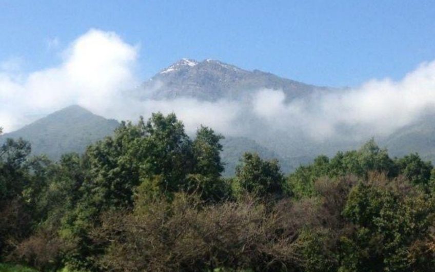Terreno San Francisco de >Mostazal
