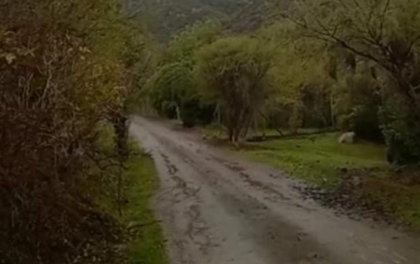 Terreno San Francisco de >Mostazal