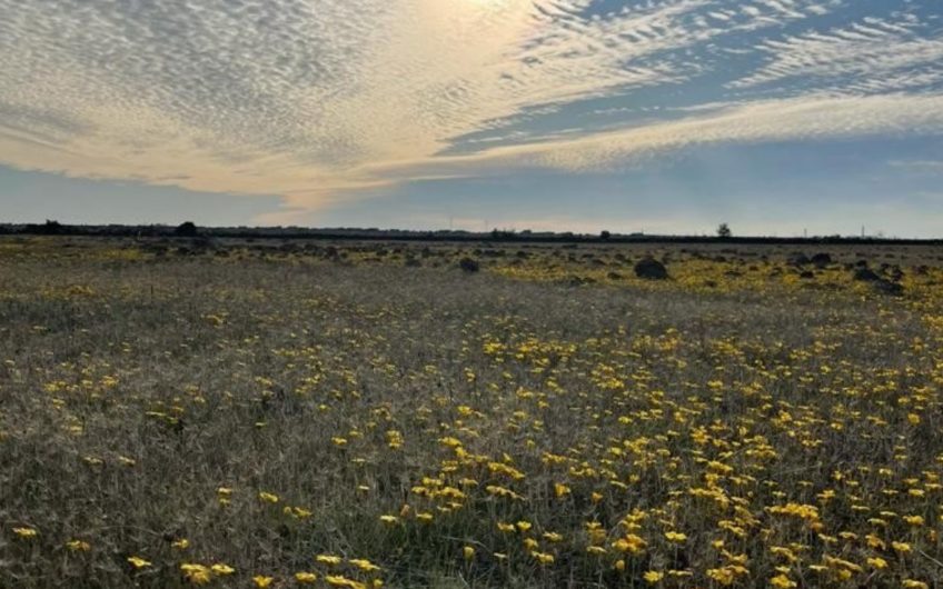 Terrenos a minutos de Bucalemu