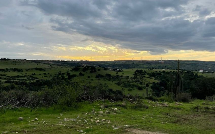 Terrenos a minutos de Bucalemu