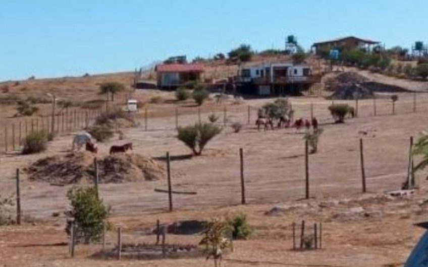Terreno El Cuzco / Liueche