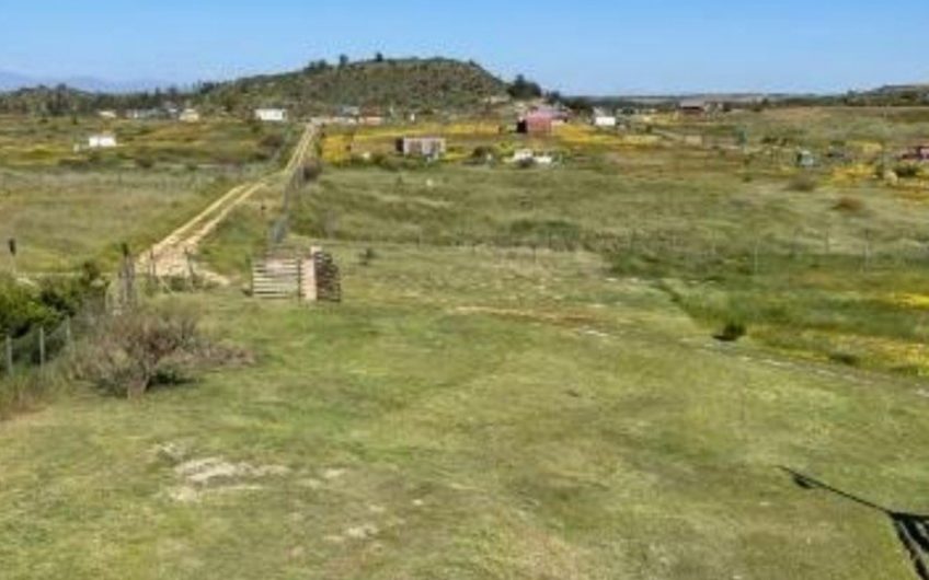 Terreno El Cuzco / Liueche