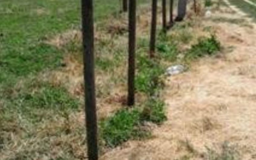 Terreno en Las Cabras