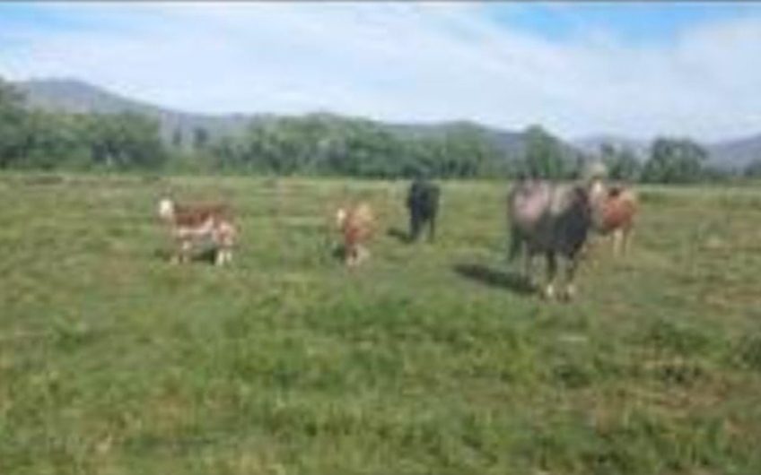 Terreno en Las Cabras