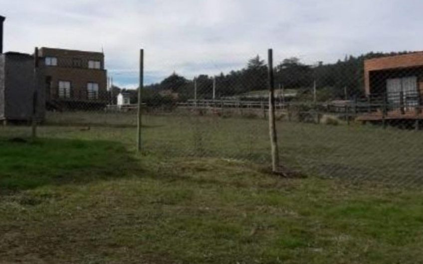 Derechos Pichilemu