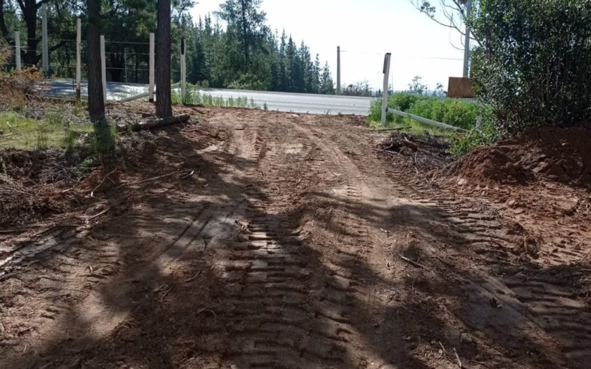Terreno en Pichilemu a orilla de carretera