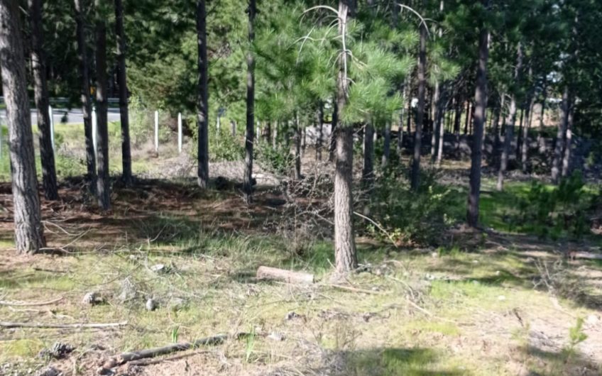 Terreno en Pichilemu a orilla de carretera