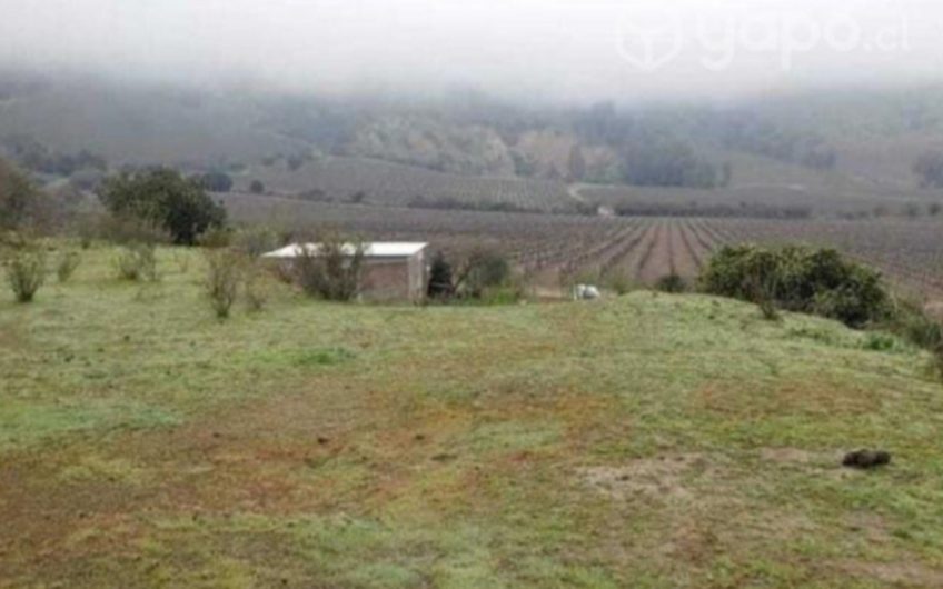 Terreno San Vicente