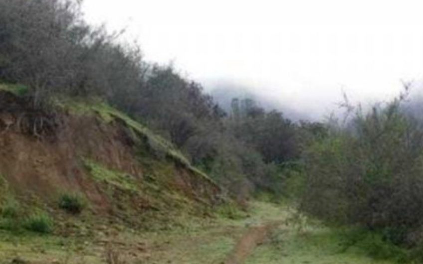 Terreno San Vicente