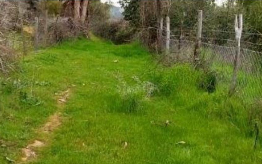 Terreno Pumanque