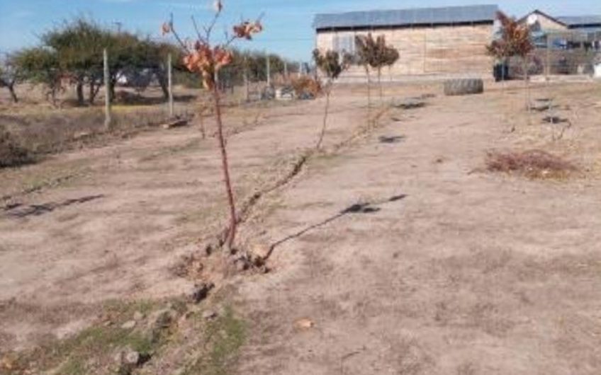 2 casas con terreno en La Estrella