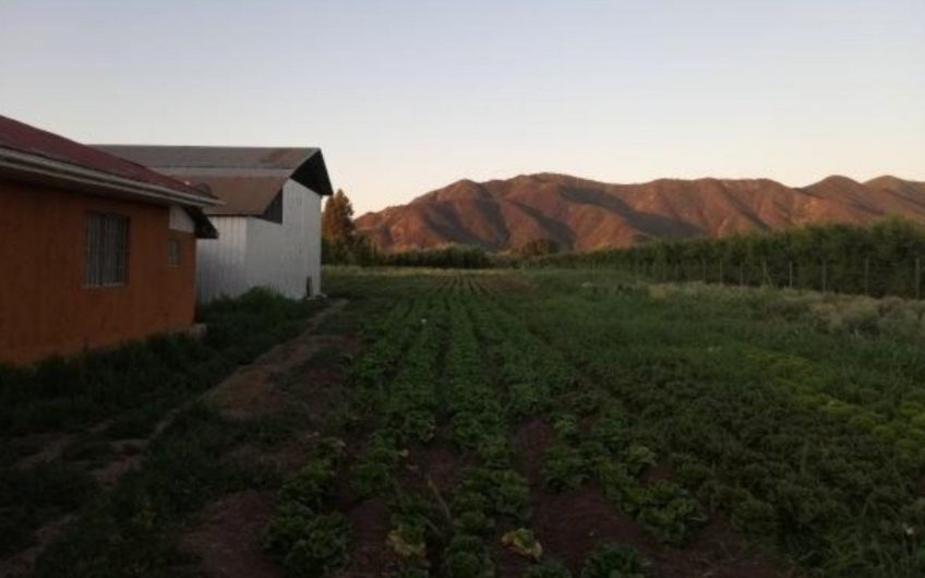 Parcela con casa San Vicente