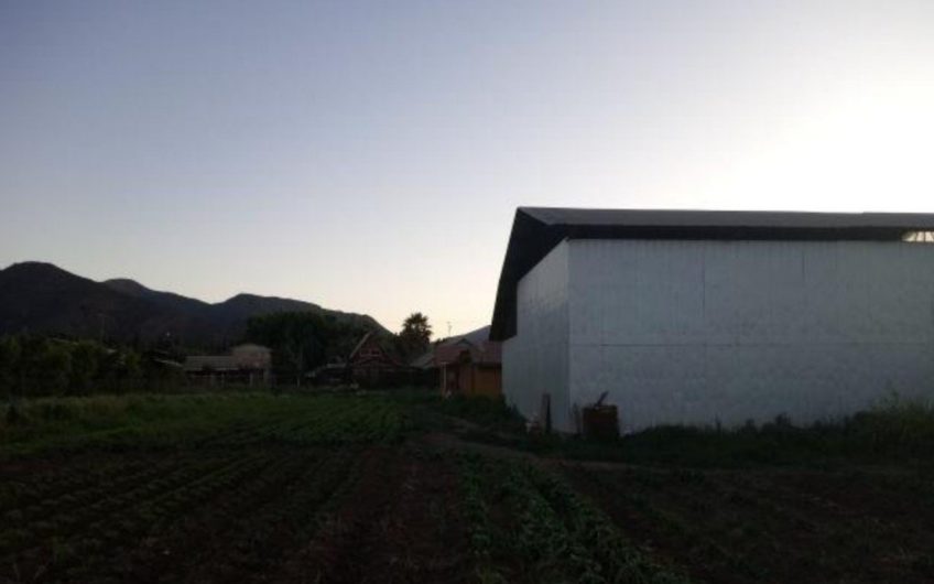 Parcela con casa San Vicente
