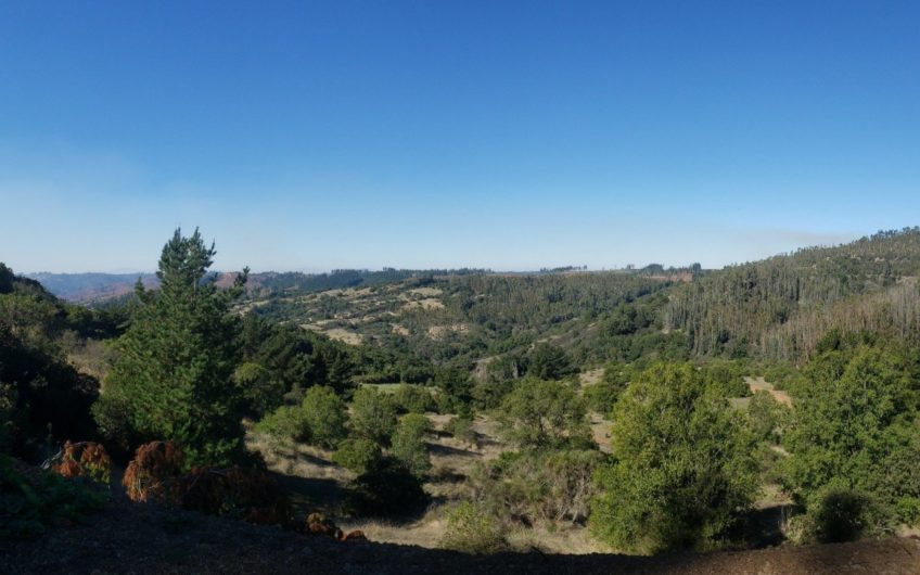 Terreno en Navidad