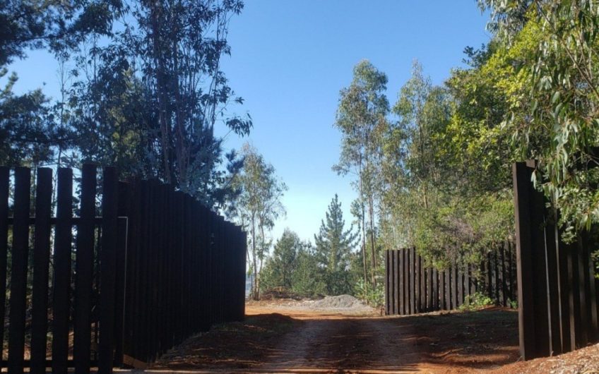 Terreno en Navidad