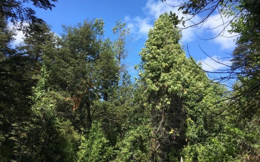 Terreno en San Clemente