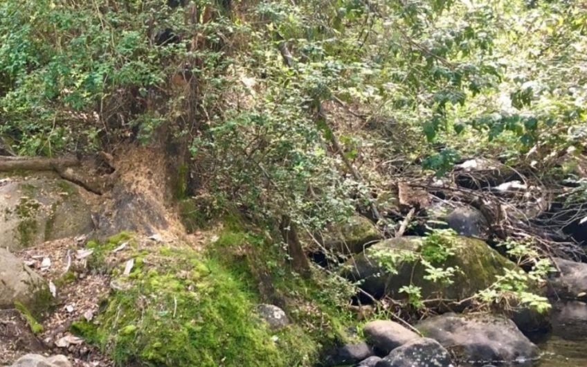 Terreno en San Clemente