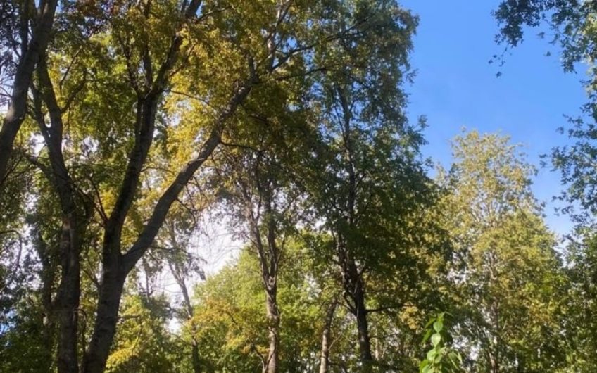 Terreno en San Clemente