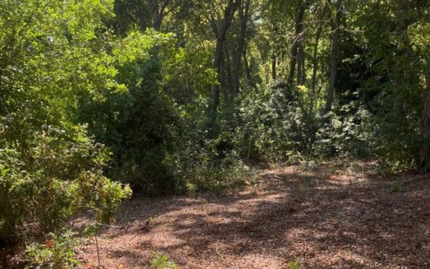 Terreno en San Clemente