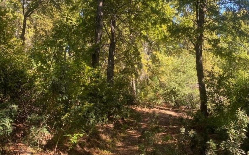 Terreno en San Clemente