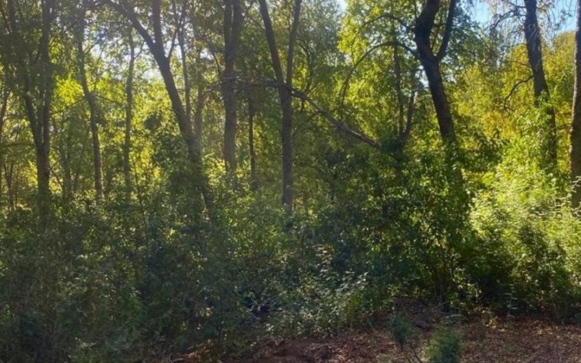 Terreno en San Clemente