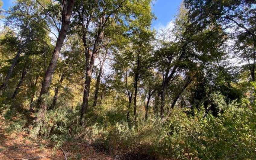 Terreno en San Clemente