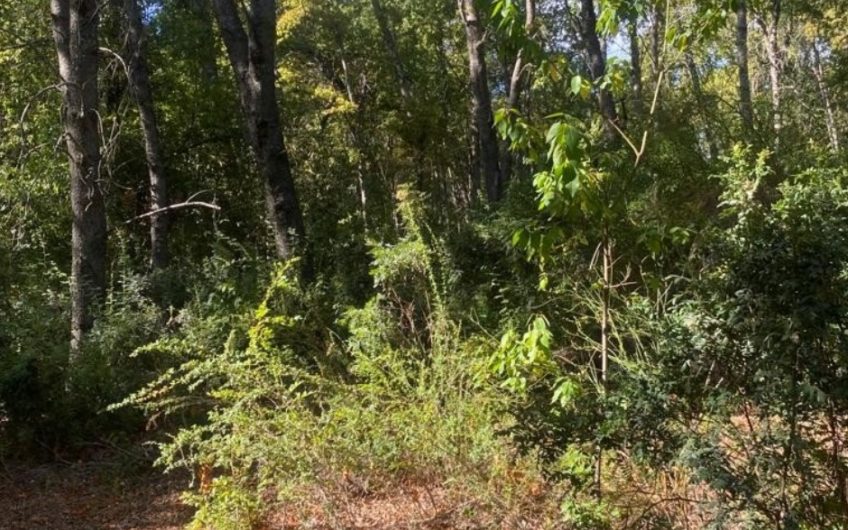 Terreno en San Clemente