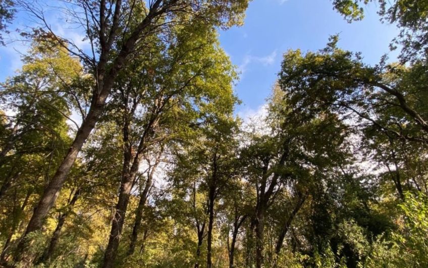 Terreno en San Clemente