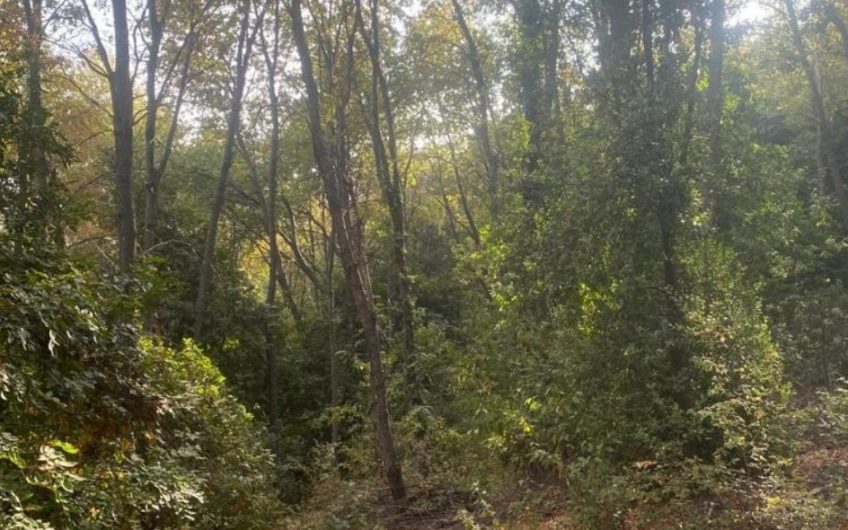 Terreno en San Clemente