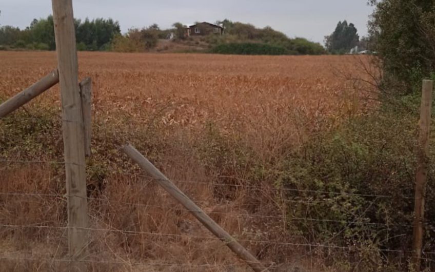 Venta de terreno ubicado en la localidad de Chimbarongo