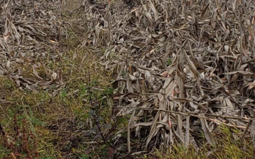 Venta de terreno ubicado en la localidad de Chimbarongo