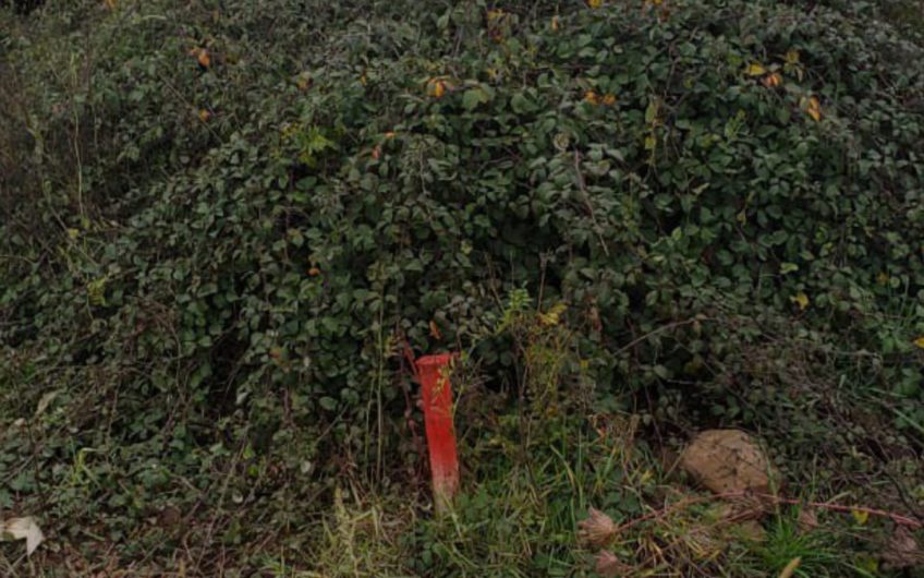 Venta de terreno ubicado en la localidad de Chimbarongo