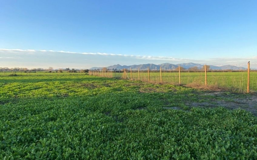 Hermoso terreno en Santa Cruz