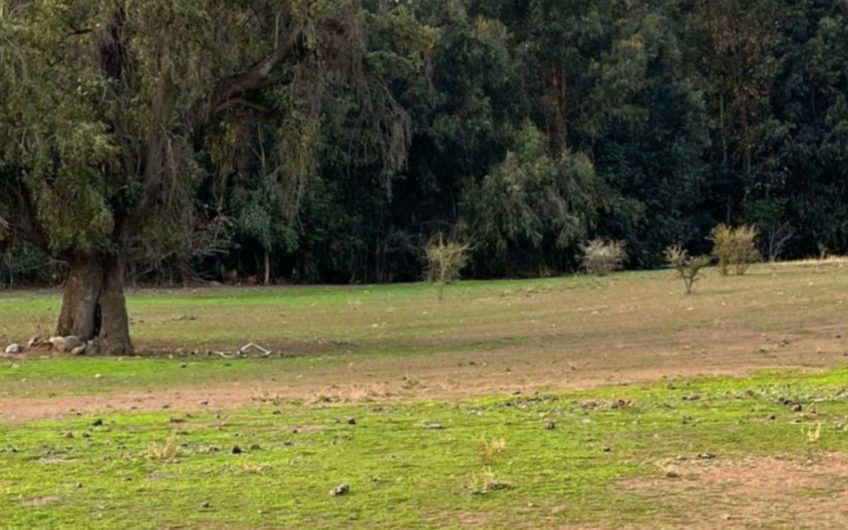 Se vende terreno ubicado en Codegua