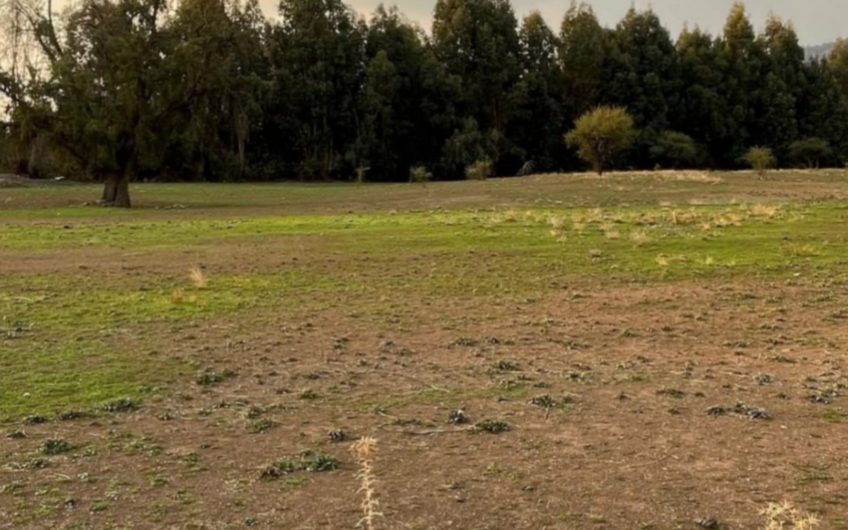 Se vende terreno ubicado en Codegua