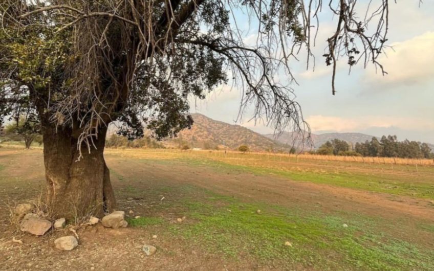 Se vende terreno ubicado en Codegua