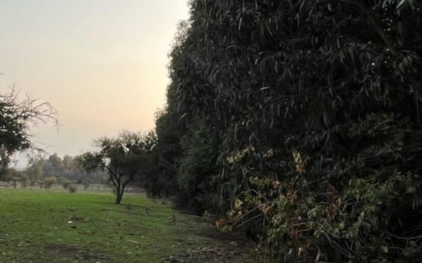 Se vende terreno ubicado en Codegua