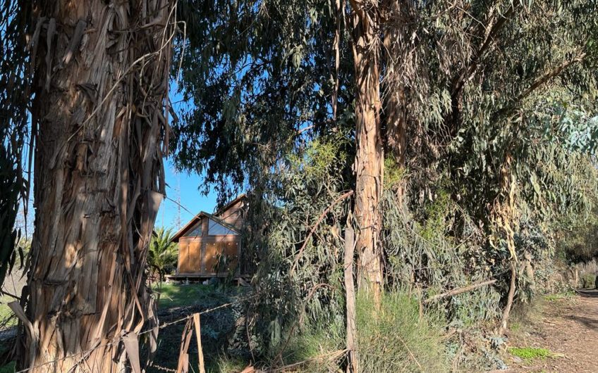 Terreno en Buin