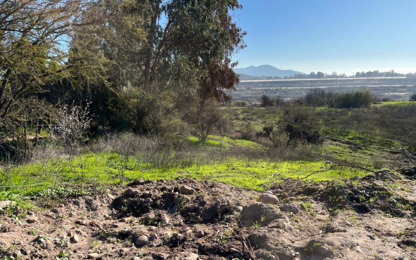 Terreno en Buin