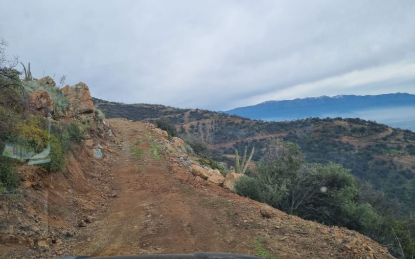 35 hectáreas “Cerro” en Codegua