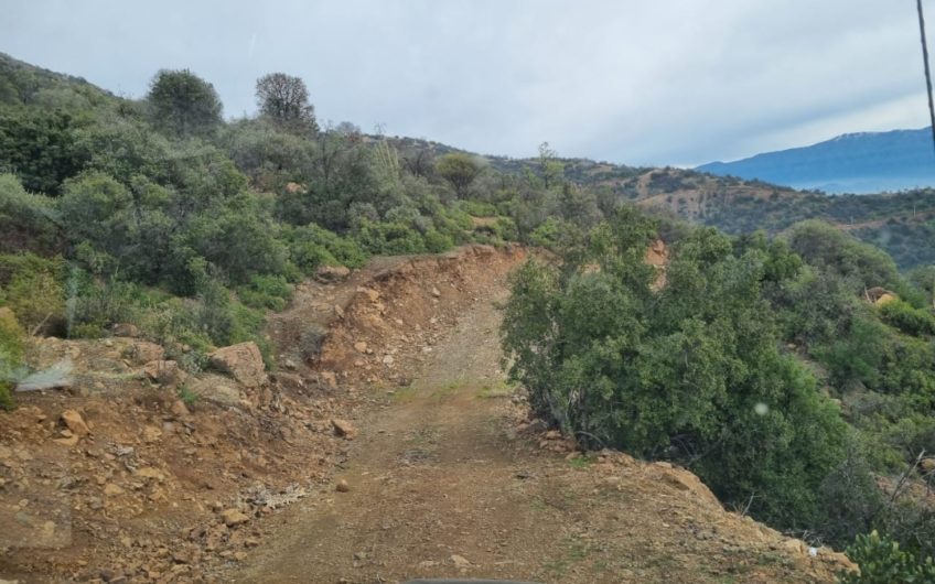 35 hectáreas “Cerro” en Codegua