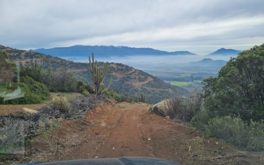 35 hectáreas “Cerro” en Codegua