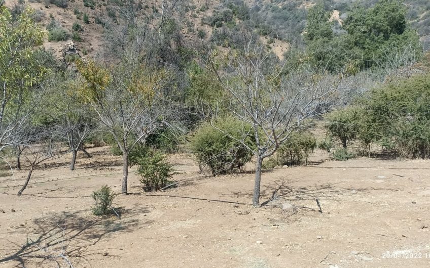 Terrenos en el Tesoro de la Leonera