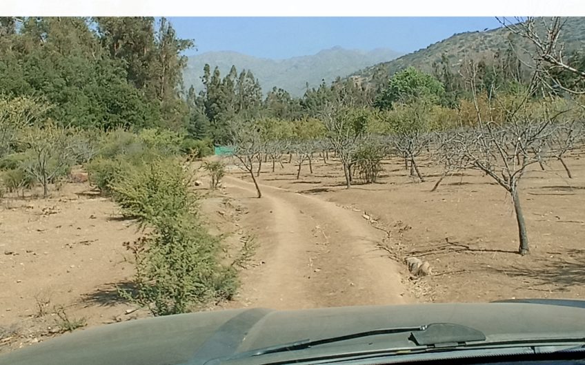 Terrenos en el Tesoro de la Leonera