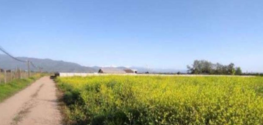 Terreno en Codegua, Las Margaritas.